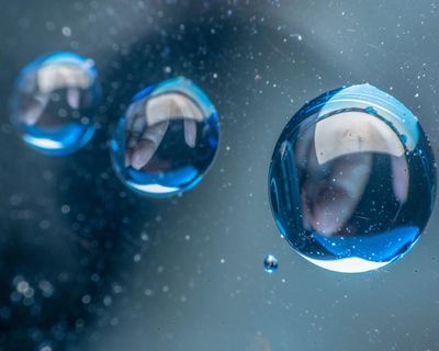 Poem of the week: Simile by Éireann Lorsung