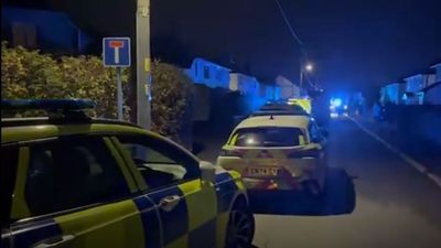 'A Peaceful Village Torn Apart': Baby Mauled To Death By Family Dog In Welsh Home