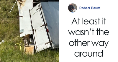 People Can’t Decide If They Support Mom Who Unalived Research Monkey Who Invaded Her Backyard