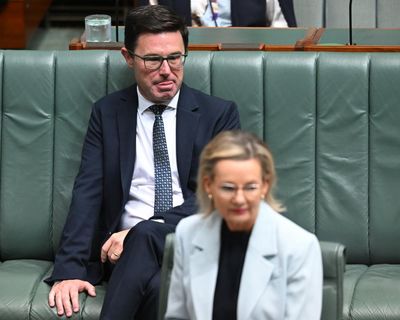 Littleproud says the world is ‘re-pivoting’ on net zero commitments – but is that just spin?