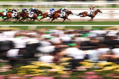 Australians still betting big on Melbourne Cup, despite many saying they’re losing interest in race