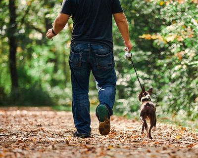 Walking 3,000 or more steps a day may slow progression of Alzheimer’s, study says