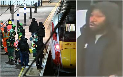 Timeline of knife carnage: Suspect linked to attacks in London and Peterborough within hours of train mass stabbing