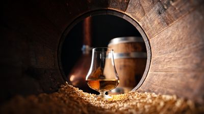 9 Subtle Differences Between Single Malt and Blended Whiskey Explained Simply