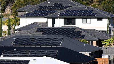 Fears 'free' electricity could come with hidden costs