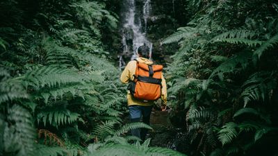 Eight Steps to Help Get You Through the Open Enrollment Jungle at Work