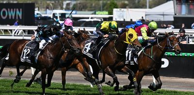 Is the Melbourne Cup losing its appeal? Here’s what the numbers reveal