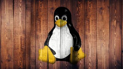 US government warns Linux flaw is now being exploited for ransomware attacks