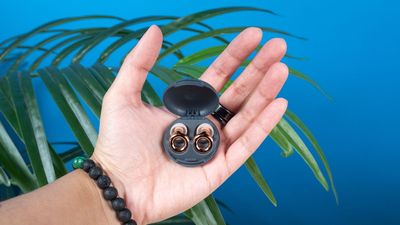 These earplugs are designed for concerts but I’ve found another use for them — now I don’t leave the house without my Loops