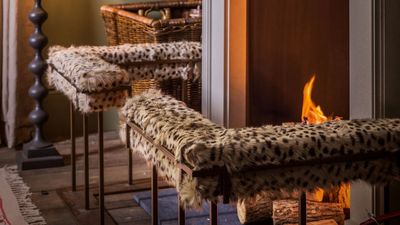 I Bought Oka’s Cheetah Fire Fenders, and They’re the Most Talked-About Piece in My Home