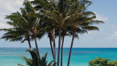 Ship set to return after elderly woman dies on cruise