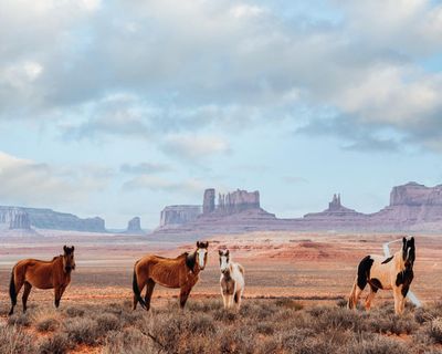 Tom’s Crossing by Mark Z Danielewski – House of Leaves author returns with a 1200-page western