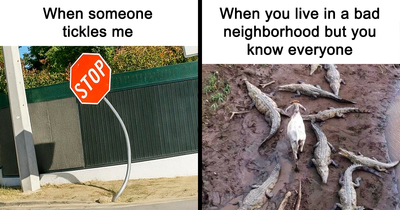 49 Memes That Are So Relatable They’re Actually Offensive (New Pics)