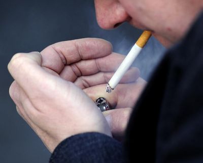 First stores allegedly selling illegal tobacco shut down in Sydney as officials wield new powers