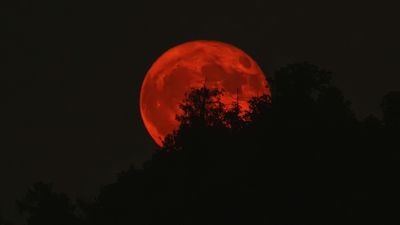 Full Moon November 2025: What Is the 'Beaver Moon'? When to See It and What It Means Spiritually