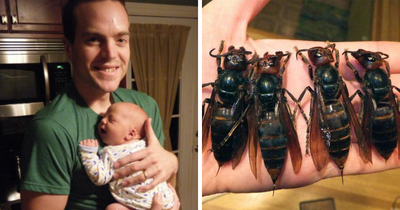 Father And Son, 15, Lose Their Lives In A Tragic Incident While Zip-Lining During Vacation