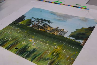 King’s artwork showing ‘deep connection to nature’ goes on sale for £3,500