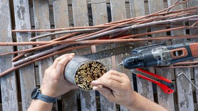 DIY Wildlife Shelters are Crucial to Helping Backyard Creatures in Winter – 4 Simple, Expert Ideas to get You Started