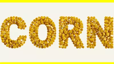 What is CORN, Steam’s newest inexplicable hit?