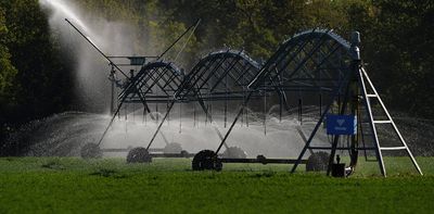 2 ways you can conserve the water used to make your food