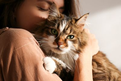 Man ordered to pay ex-wife hundreds of pounds a year for ‘cat support’ in divorce ruling