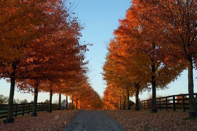 Photos show the changing colors of a Toronto fall