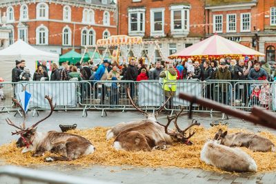UK’s largest one-day Christmas market returns after last year’s cancellation