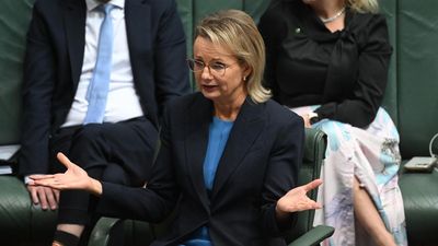 Give Ley clear air, former Nats leader tells colleagues