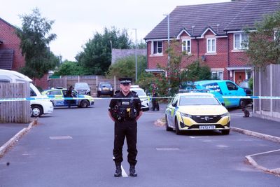 Brother of Southport attacker gives evidence to inquiry