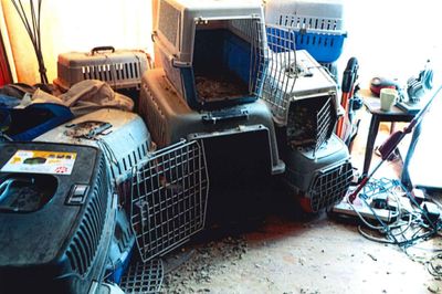 Man who kept birds of prey in ‘appalling’ conditions banned from owning animals