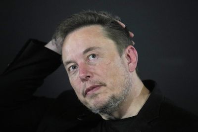Elon Musk told to ‘mind his own business’ by minister after UK comments