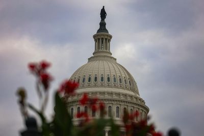 US Senate rejects funding package for 14th time with shutdown in 35th day