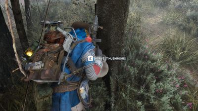 Where to find mushrooms in Arc Raiders