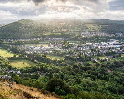 New set of forest towns to be built between Oxford and Cambridge