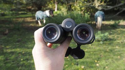 Zeiss Conquest HDX 10x32 binoculars review