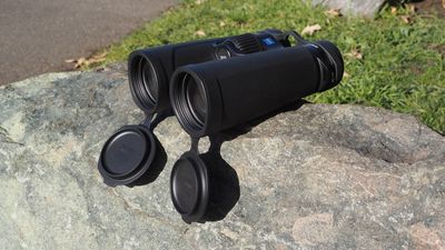 Zeiss SFL 10x50 binoculars review