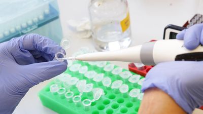 'Cloud' lingers in DNA contest over notorious murder