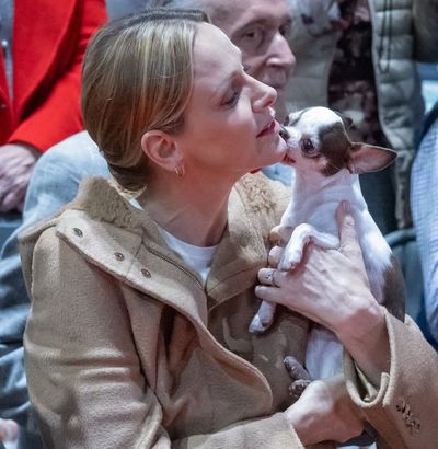 Princess Charlene Makes a Rare Appearance in Jeans As Her Adorable Dog Steals the Show at Charity Event