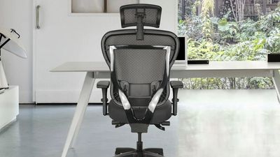 Oak Hollow Aloria office chair review: Airflow up top and business down below