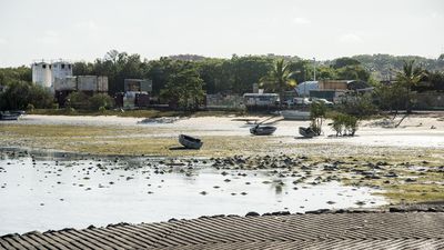 Golden eye on northern island after spot price surge