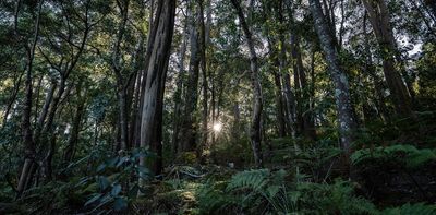 Where’s nature positive? Australia must ensure environment reforms work to restore what’s been lost
