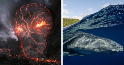 Panoramic Views Of The World: The Best Shots From The 2025 Epson International Pano Awards (107 Pics)