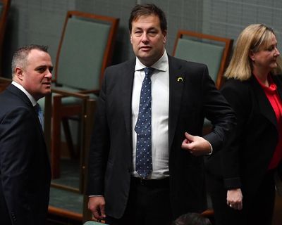 ‘Nationals-lite’: former Liberal president says party would be ‘rewarding standover tactics’ if net zero dumped