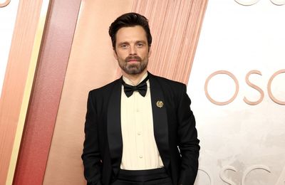 Sebastian Stan: Marvel is only step one of my career