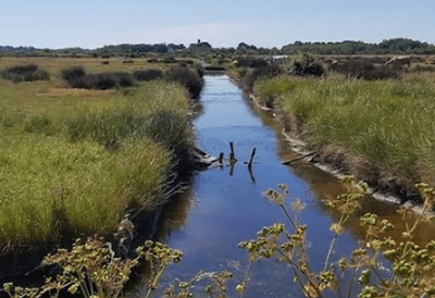 Ile d'Oleron attack: Driver rams into pedestrians and cyclists on French holiday island
