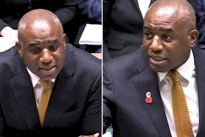 Moment Lammy puts poppy on midway through PMQs