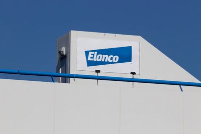 Elanco Shares Poised For Upside After Another Quarter Of Outperformance