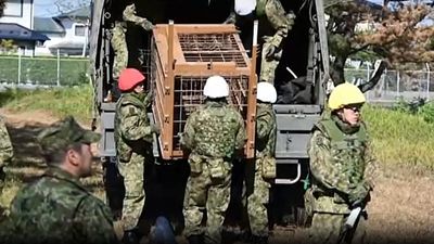 Japan deploys troops to help stop bear attacks