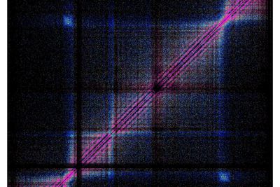 DNA structures captured in ‘exquisite detail’ using new technique