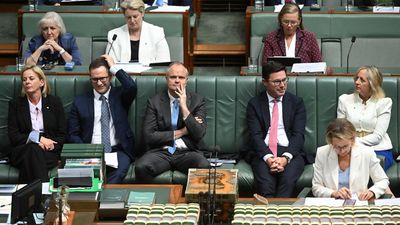 High-stakes meetings to thrash out Liberal energy plan